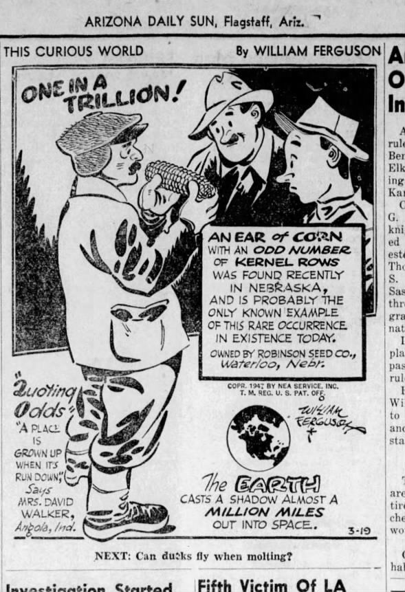 Clipping from Arizona Daily Sun